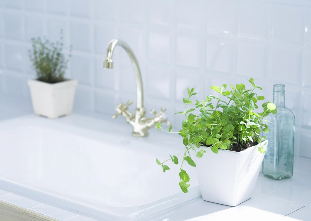 Pia de cozinha com torneira e vasos de plantas
